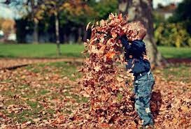 7 Affordable Autumn Family Activities