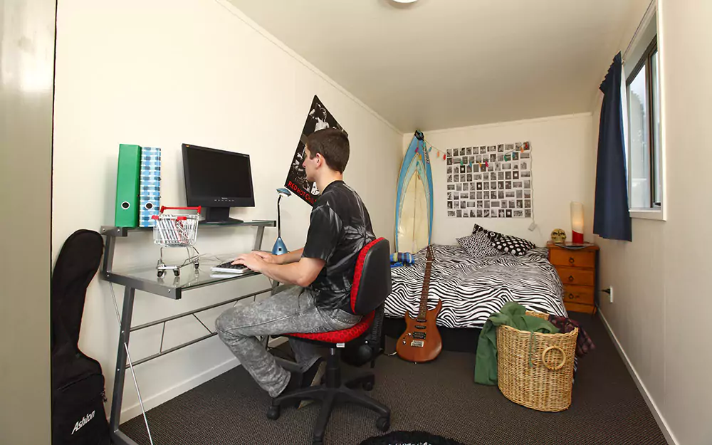 Standard Cabin - interior 1 at desk